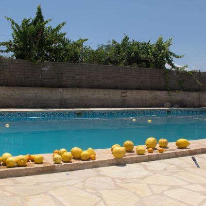 Travel photography, a swimming pool and lemons