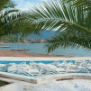 Documentary photograph of palm trees and sun beds in Budva, Montenegro