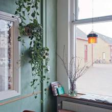 Green interior of lunchroom Smaak Haarlem